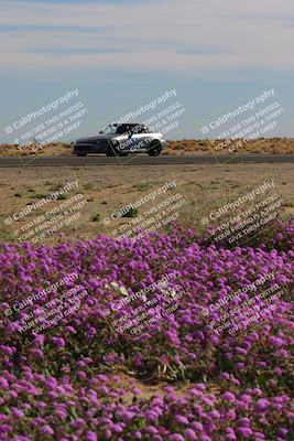 media/Jan-08-2023-SCCA SD (Sun) [[8f6a5b9391]]/Intermediate Group/Session 2 (Short Straight)/